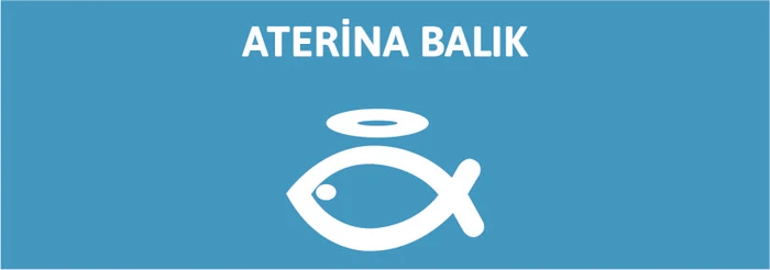 Aterina Balık Restaurant